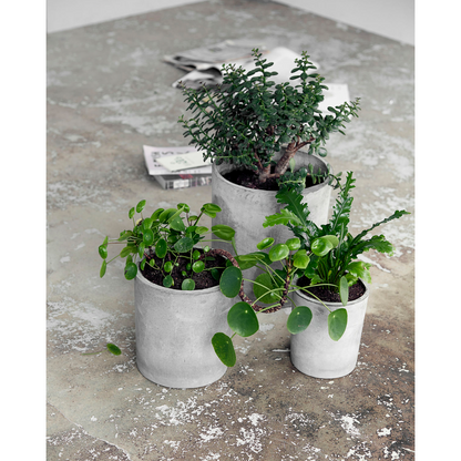 House Doctor Herb Pot, Ave, Light Gray-S :, H: 22 cm, Dia: 18,5 cm, M :, H: 27 cm, dia: 24 cm, L :, H: