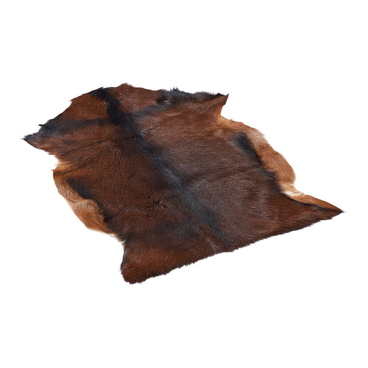 Goatskin | Kort hår | Tibet | 90x60 cm