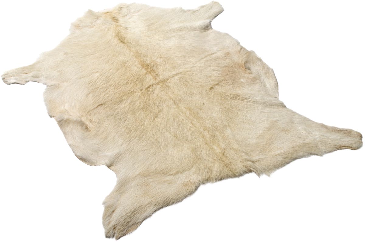 Goatskin | Kort hår | Tibet | 90x60 cm