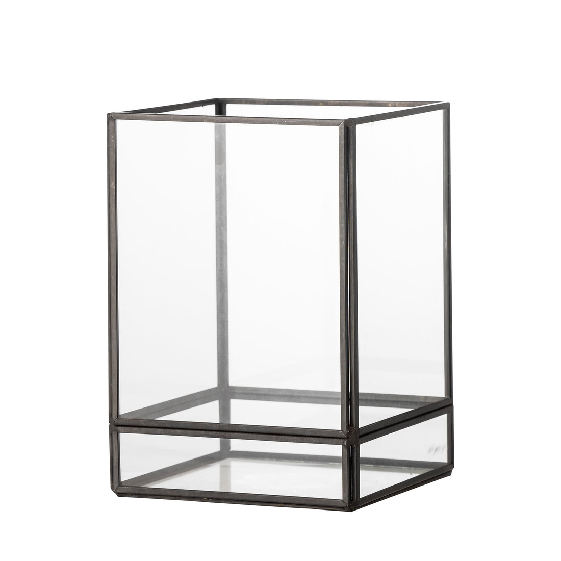 Filula tall bleknar, svart, glas